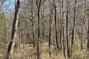 4101 Cr 3703, Athens, TX 75752 - Photo 31