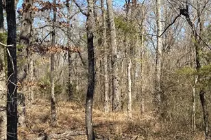 4101 Cr 3703, Athens, TX 75752 - Photo 27