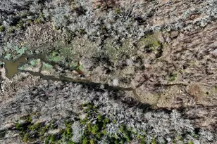 4101 Cr 3703, Athens, TX 75752 - Photo 25