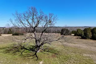4101 Cr 3703, Athens, TX 75752 - Photo 27
