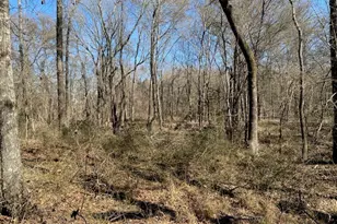 4101 Cr 3703, Athens, TX 75752 - Photo 29