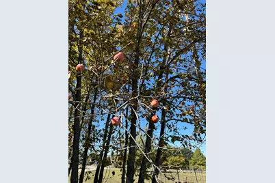 6553 Private Road 2270, Quinlan, TX 75474 - Photo 31