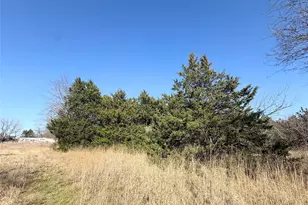 105 E Riley, Wortham, TX 76693 - Photo 9