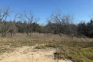 105 E Riley, Wortham, TX 76693 - Photo 5