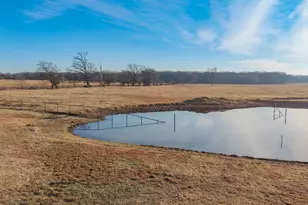 670 Farm Road 196 N, Blossom, TX 75416 - Photo 33