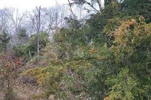 2260 Co Rd 1439, Sulphur Springs, TX 75482 - Photo 17