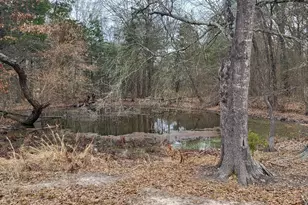 2260 Co Rd 1439, Sulphur Springs, TX 75482 - Photo 21