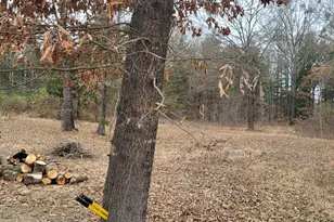 2260 Co Rd 1439, Sulphur Springs, TX 75482 - Photo 15