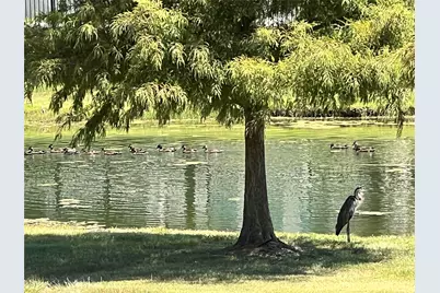 1523 Grove Drive, Celina, TX 75009 - Photo 33