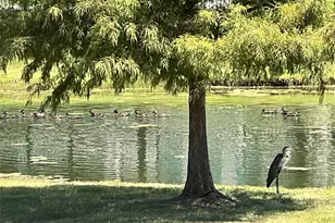 1523 Grove Dr, Celina, TX 75009 - Photo 33