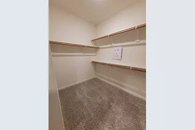 313 Zimmet Drive, Anna, TX 75409 - Photo 17