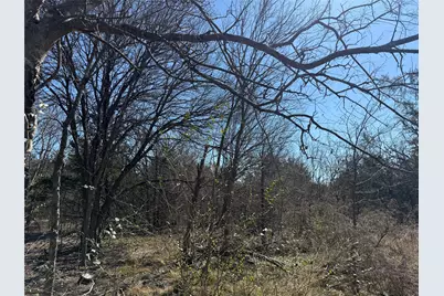 Lots 162A, 162B, 163A SW Cr 4011, Dawson, TX 76639 - Photo 9