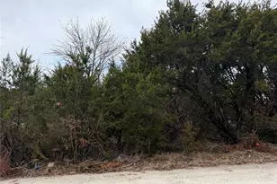 2102 Cactus Alley, Granbury, TX 76048 - Photo 1