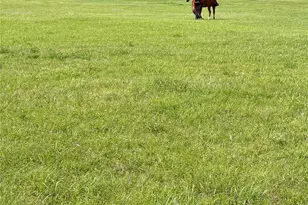 Tbd 23 Massey Rd, Pilot Point, TX 76258 - Photo 1