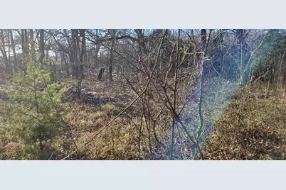 7423 Fm 2653, Sulphur Springs, TX 75482 - Photo 7