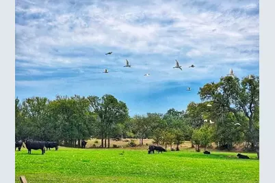 Lot 17 Brazos Mountain Ranch, Mineral Wells, TX 76067 - Photo 5