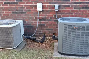 9214 Barton Creek Dr, Rowlett, TX 75089 - Photo 21