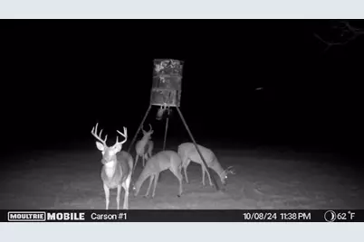 290 Barton Road, Maypearl, TX 76064 - Photo 31