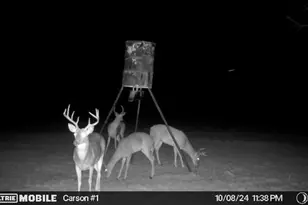 290 Barton Rd, Maypearl, TX 76064 - Photo 31