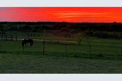 290 Barton Road, Maypearl, TX 76064 - Photo 33