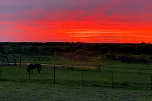 290 Barton Rd, Maypearl, TX 76064 - Photo 33