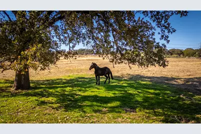 0000 Fm-920, Bridgeport, TX 76426 - Photo 19