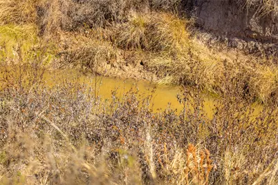 0000 Fm-920, Bridgeport, TX 76426 - Photo 5