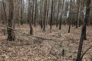 0 Cr 3427, Hawkins, TX 75765 - Photo 1