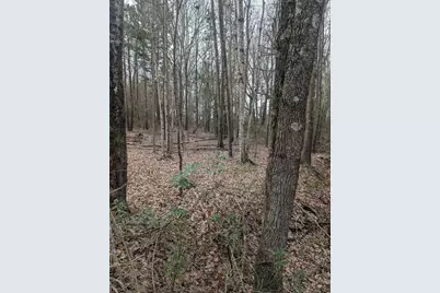 00 Cr 3427, Hawkins, TX 75765 - Photo 3