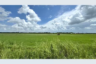 00 Fm 3486, Terrell, TX 75160 - Photo 5