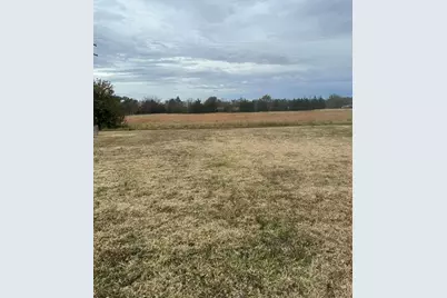 1130 E Ohio Street, Van, TX 75790 - Photo 17