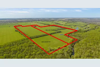 Tbd Cr 14790, Paris, TX 75462 - Photo 3