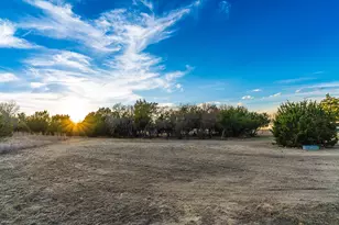 156 Ronnie Ln, Weatherford, TX 76088 - Photo 29