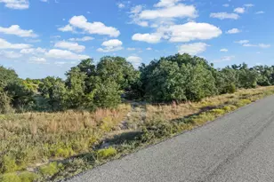 1456 Hidden Oaks Trl, Walnut Springs, TX 76690 - Photo 11