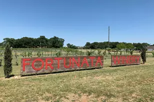 14225 Bacton Rd, Pilot Point, TX 76258 - Photo 11