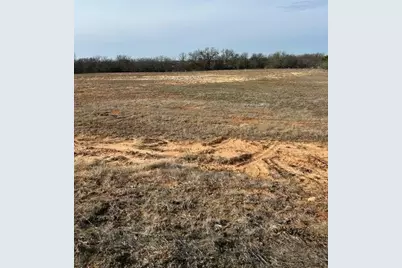 1028 Annabelles Avenue, Weatherford, TX 76087 - Photo 3