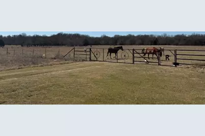 994 County Road 3925, Wolfe City, TX 75496 - Photo 1