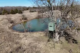 994 Co Rd 3925, Wolfe City, TX 75496 - Photo 11