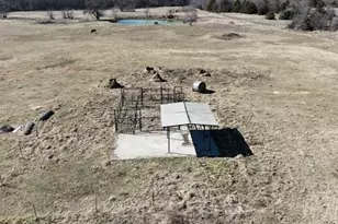 994 Co Rd 3925, Wolfe City, TX 75496 - Photo 15