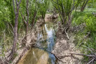 361 Private Rd 3248, Decatur, TX 76234 - Photo 5