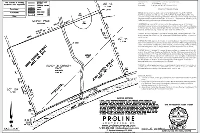 704 Mint Drive, Burleson, TX 76028 - Photo 3