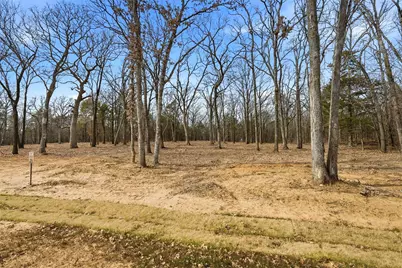 Lot 29 White Tail Way, Pottsboro, TX 75076 - Photo 3