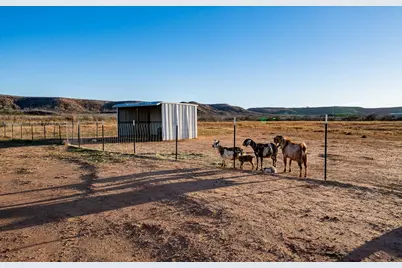 475 County Road 321, Abilene, TX 79606 - Photo 35