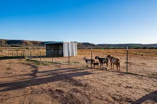 475 Co Rd 321, Abilene, TX 79606 - Photo 35