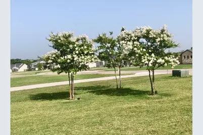 137 Blackthorn Drive, Van Alstyne, TX 75495 - Photo 39