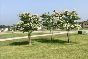 137 Blackthorn Dr, Van Alstyne, TX 75495 - Photo 39