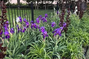 137 Blackthorn Dr, Van Alstyne, TX 75495 - Photo 37