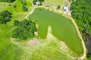 2711 FM250, Hughes Springs, TX 75656 - Photo 21