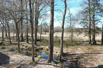 130 Fcr 505, Fairfield, TX 75840 - Photo 7