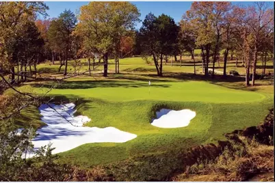 Tbd Medallion Club, Gordonville, TX 76245 - Photo 7